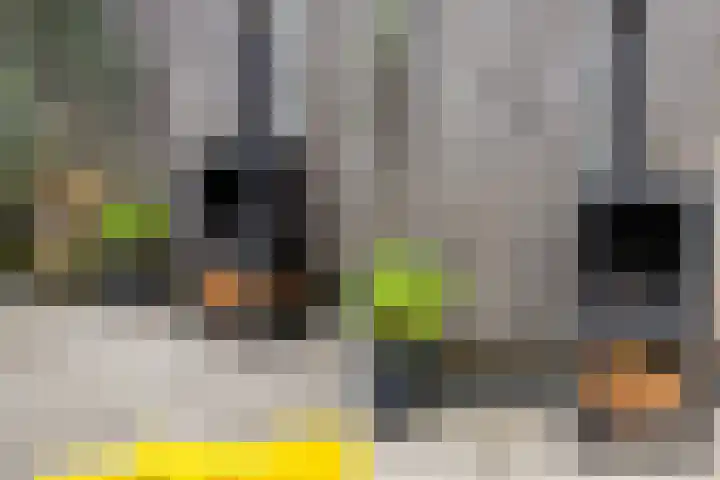 Roekenbos 213 B Hoofddorp thumbnail 36