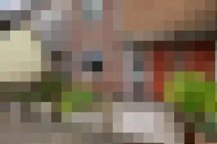 Roekenbos 213 B Hoofddorp thumbnail 6