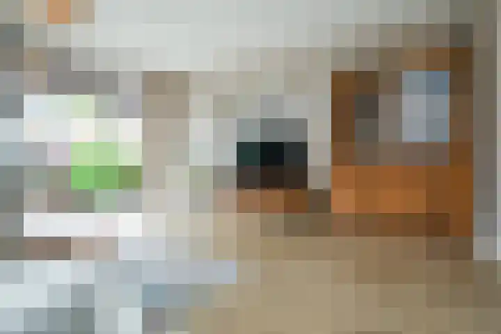 Roekenbos 213 B Hoofddorp thumbnail 9