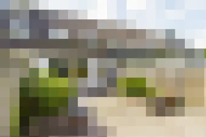 Roekenbos 32 Hoofddorp thumbnail 13