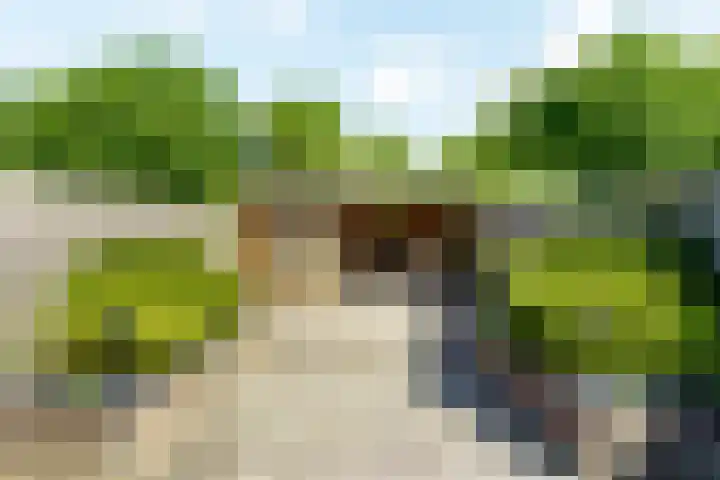 Roekenbos 32 Hoofddorp thumbnail 14