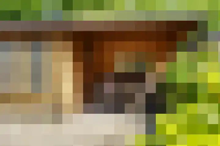 Roekenbos 32 Hoofddorp thumbnail 15