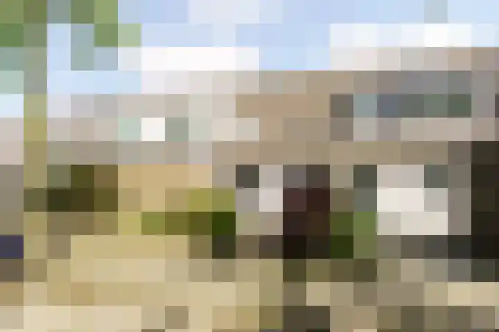 Roekenbos 32 Hoofddorp thumbnail 5
