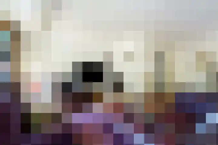 Roekenbos 32 Hoofddorp thumbnail 7