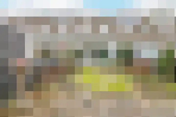 Roekenbos 38 Hoofddorp thumbnail 23