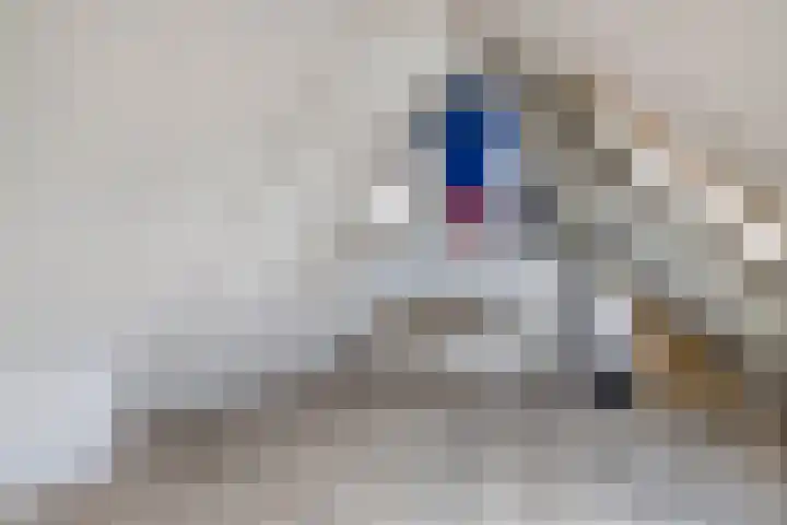 Roekenbos 51 Hoofddorp thumbnail 19
