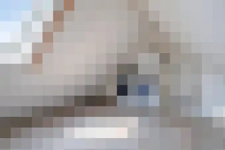 Roekenbos 51 Hoofddorp thumbnail 20