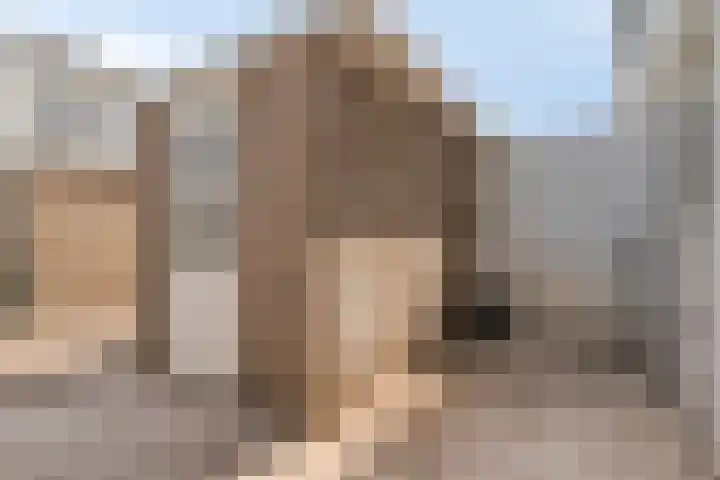 Roekenbos 51 Hoofddorp thumbnail 23
