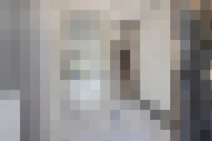 Roekenbos 51 Hoofddorp thumbnail 9
