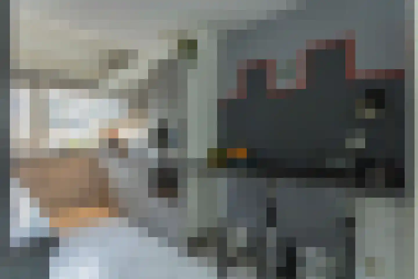 Roekenbos 93 Hoofddorp thumbnail 10