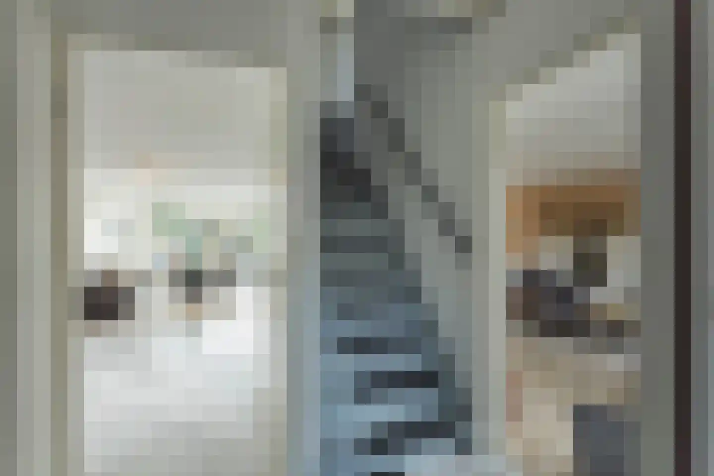 Roekenbos 93 Hoofddorp thumbnail 13