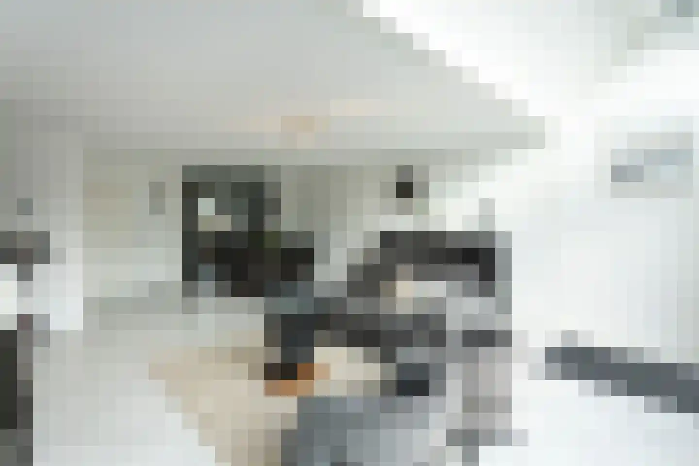 Roekenbos 93 Hoofddorp thumbnail 5