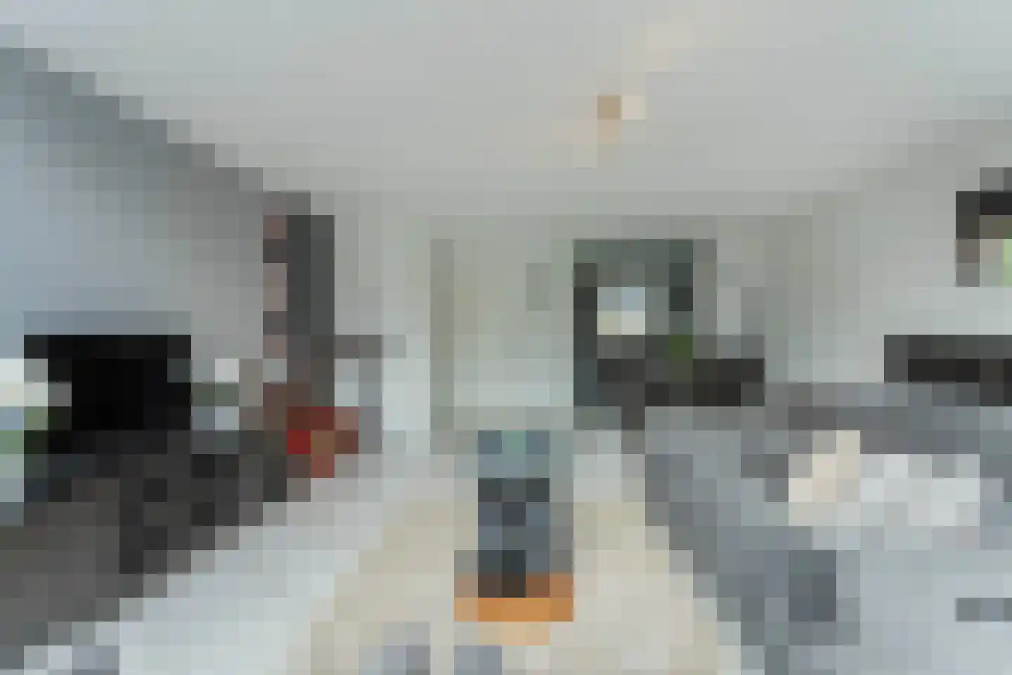 Roekenbos 93 Hoofddorp thumbnail 8