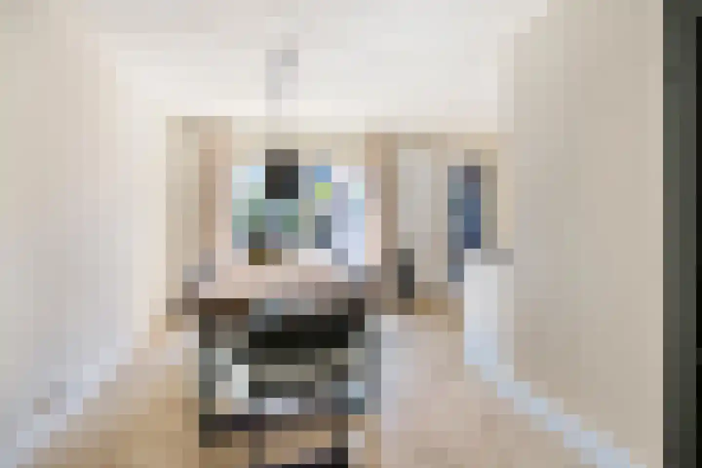 Roekenhof 3 Stadskanaal thumbnail 12