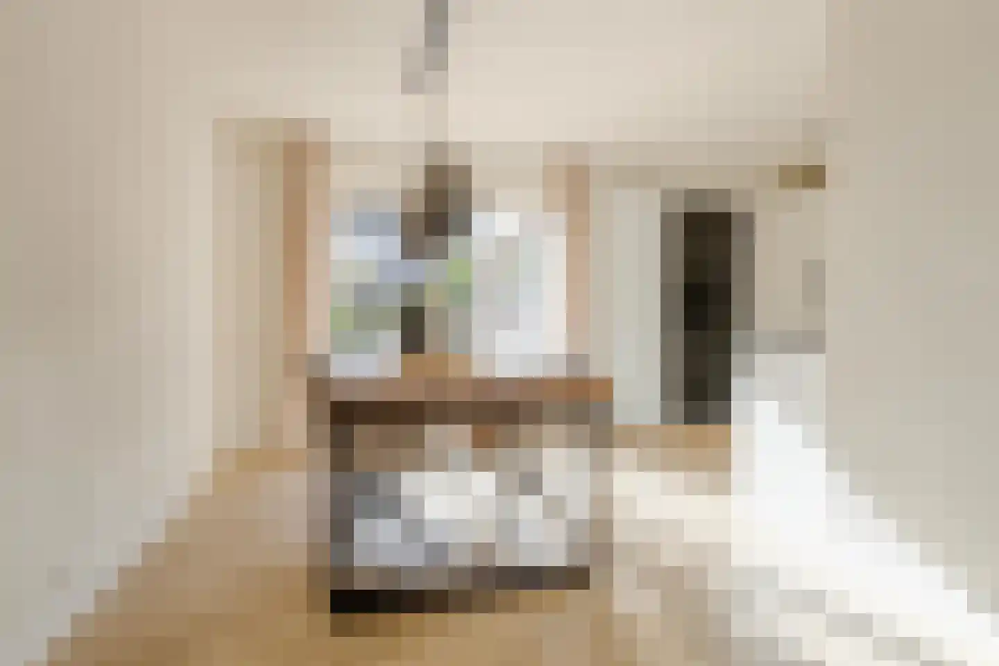 Roekenhof 3 Stadskanaal thumbnail 16