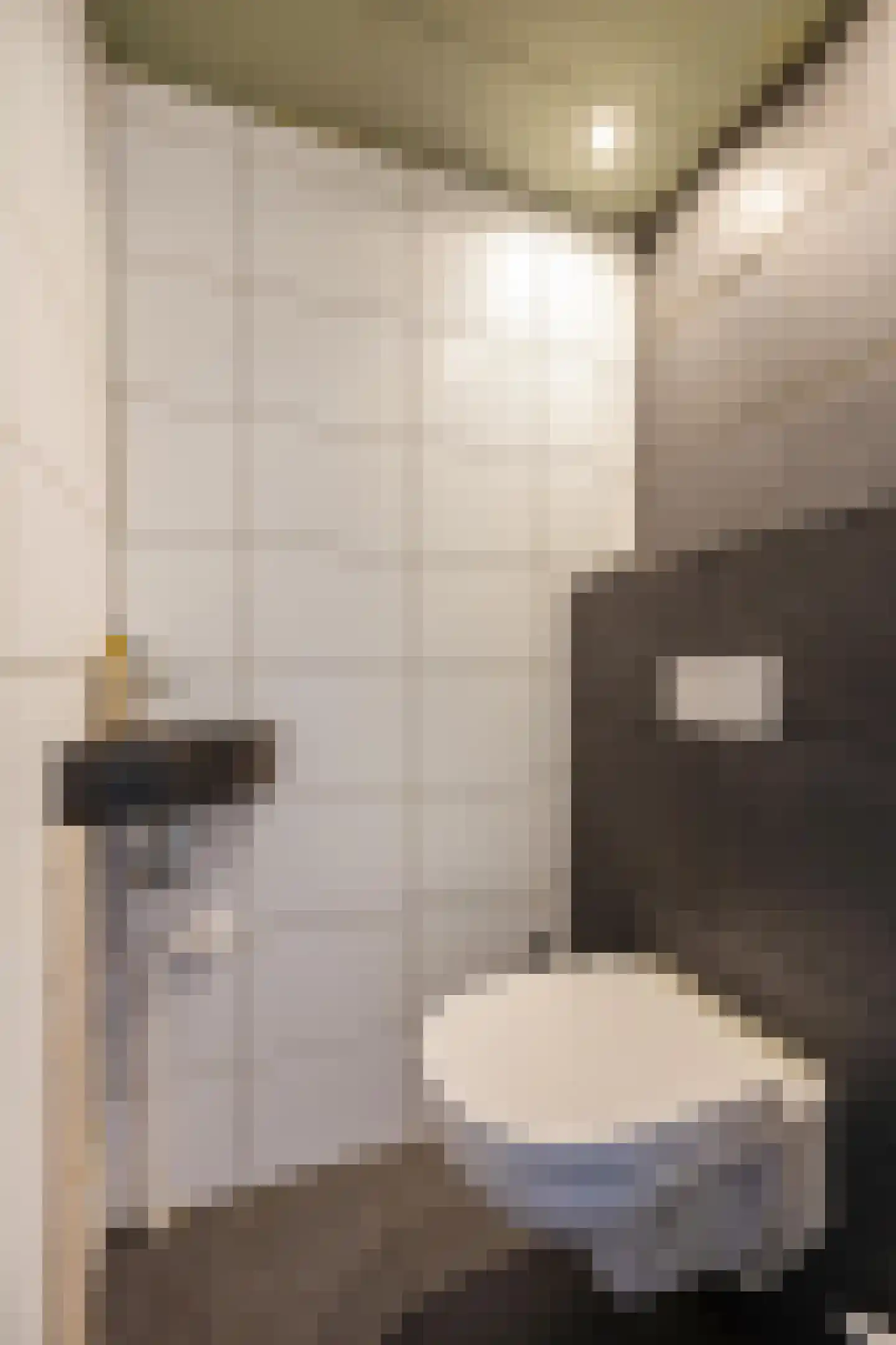 Roekenhof 3 Stadskanaal thumbnail 18