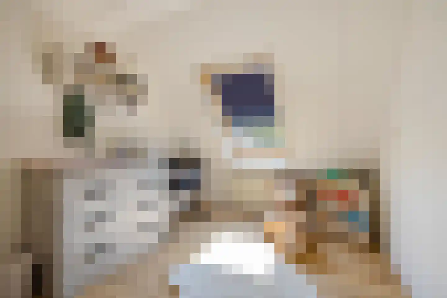 Roekenhof 3 Stadskanaal thumbnail 23