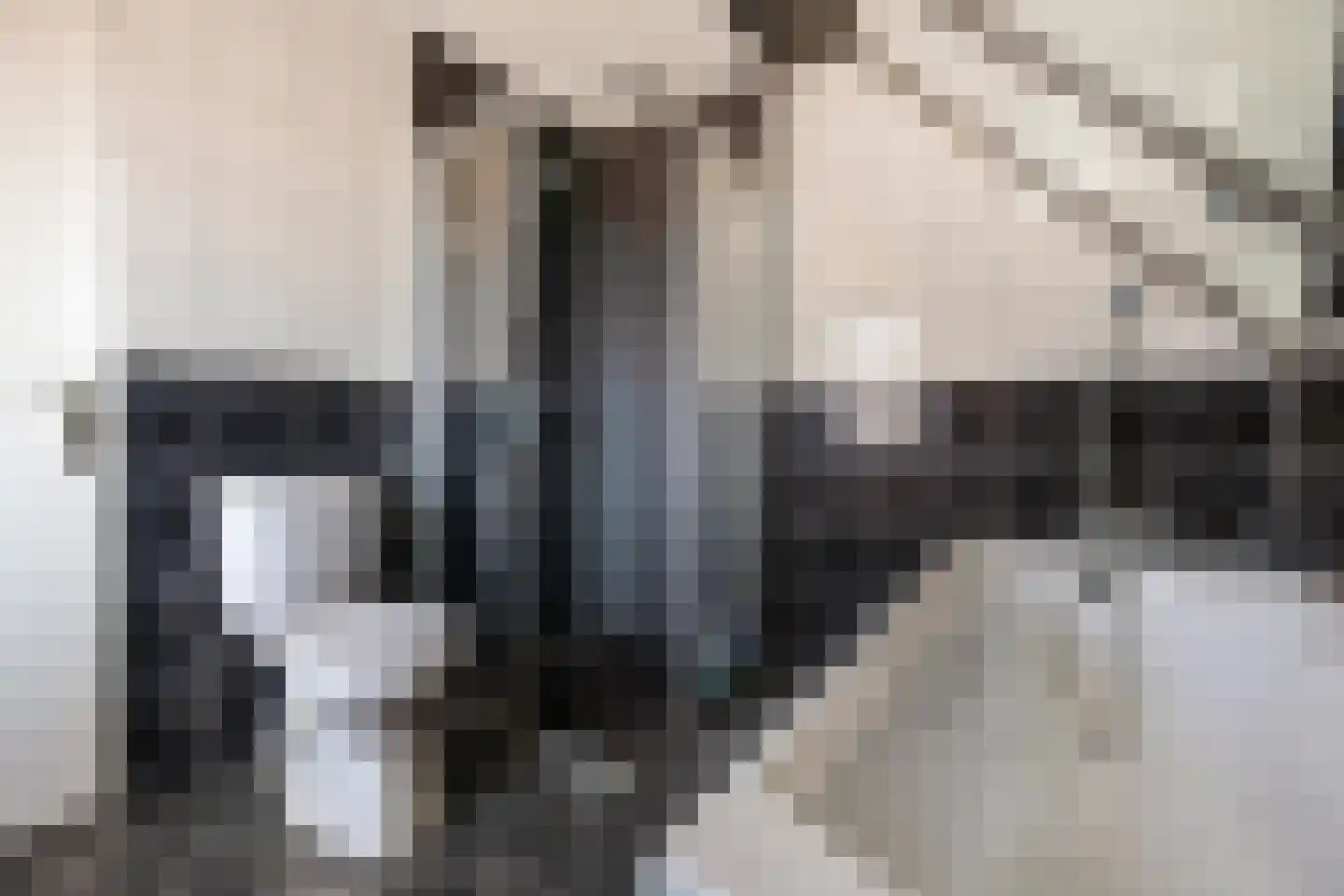 Roekenhof 3 Stadskanaal thumbnail 28