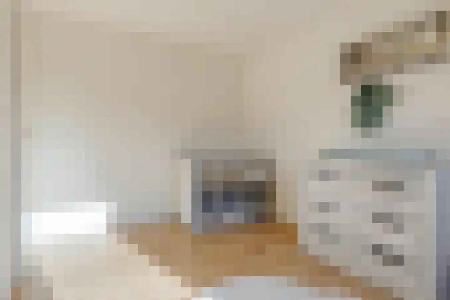 Roekenhof 3 Stadskanaal thumbnail 29
