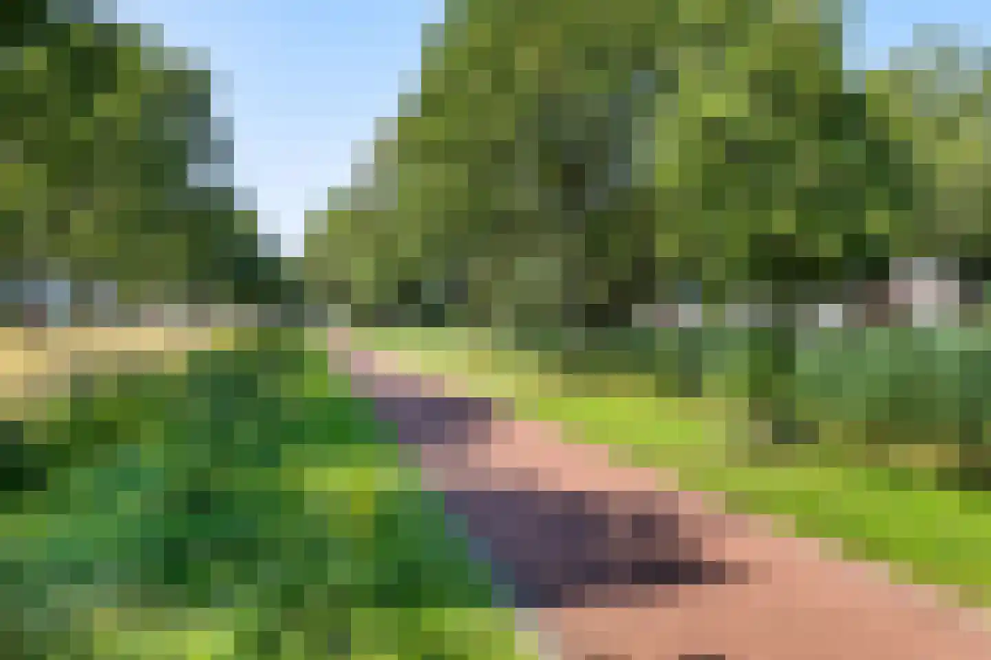 Roekenhof 3 Stadskanaal thumbnail 34
