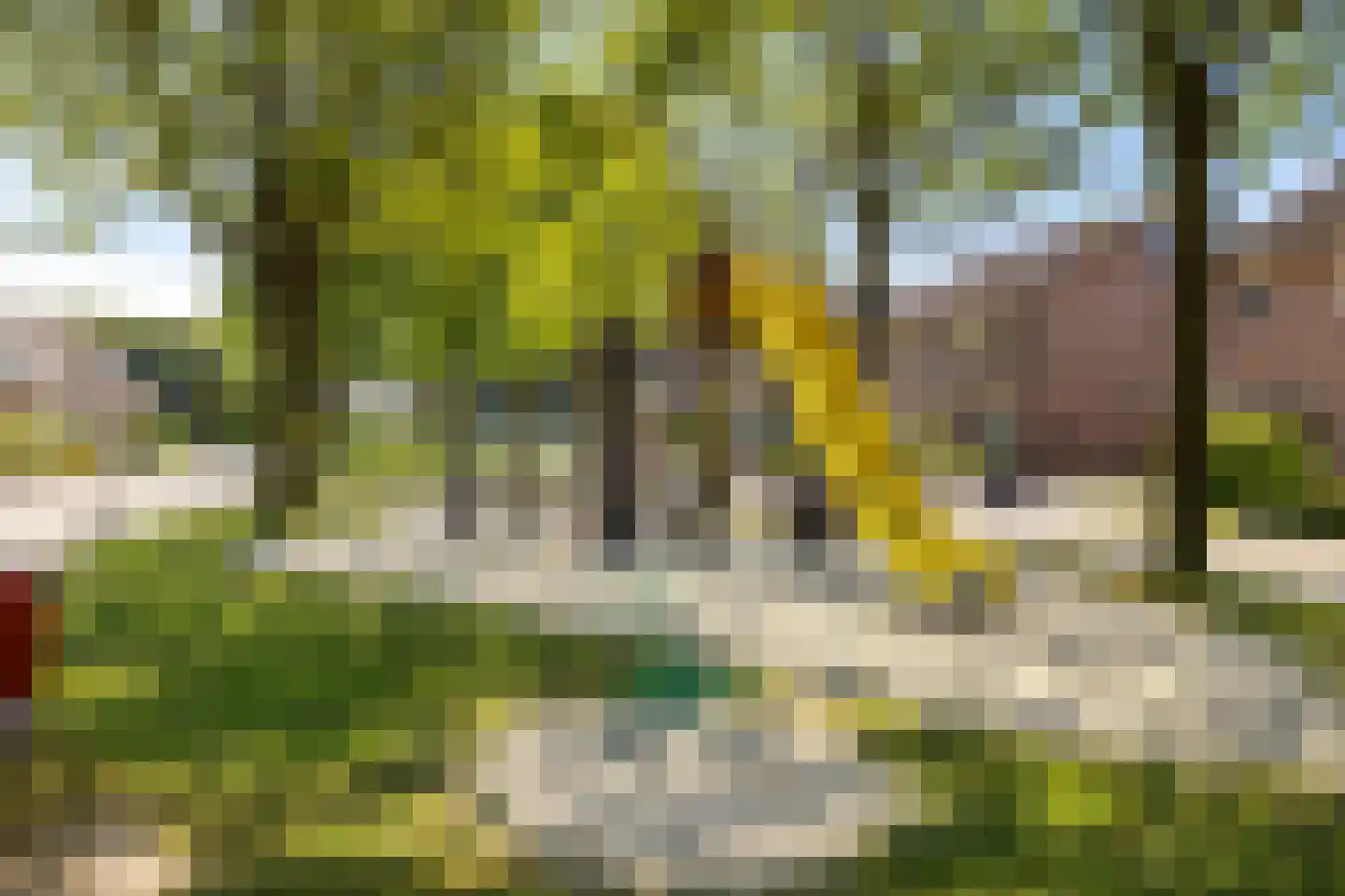 Roekenhof 3 Stadskanaal thumbnail 35