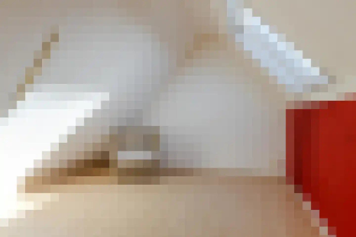 Roekenhof 3 Stadskanaal thumbnail 35