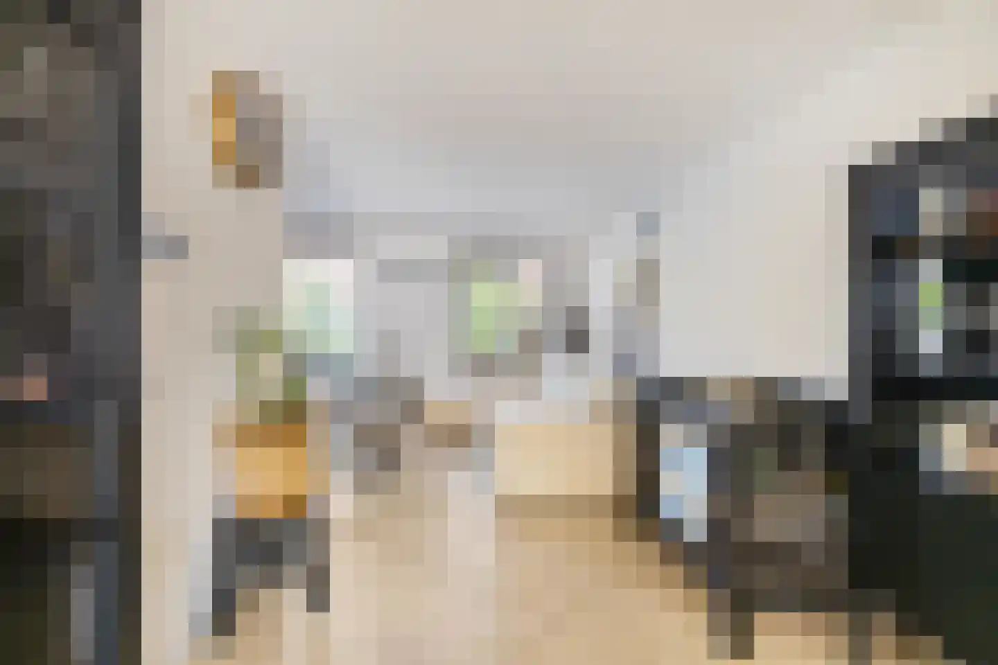 Roekenhof 3 Stadskanaal thumbnail 8