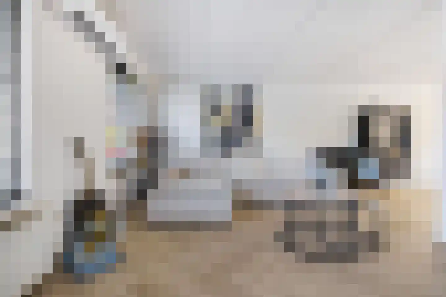 Roekenhof 3 Stadskanaal thumbnail 9