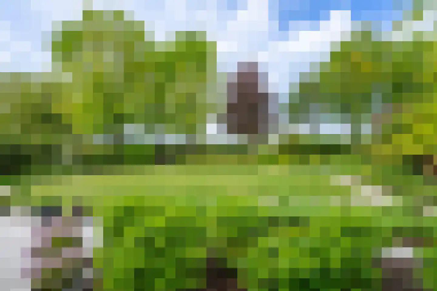 Roekenveldweg 4 Brunssum thumbnail 35