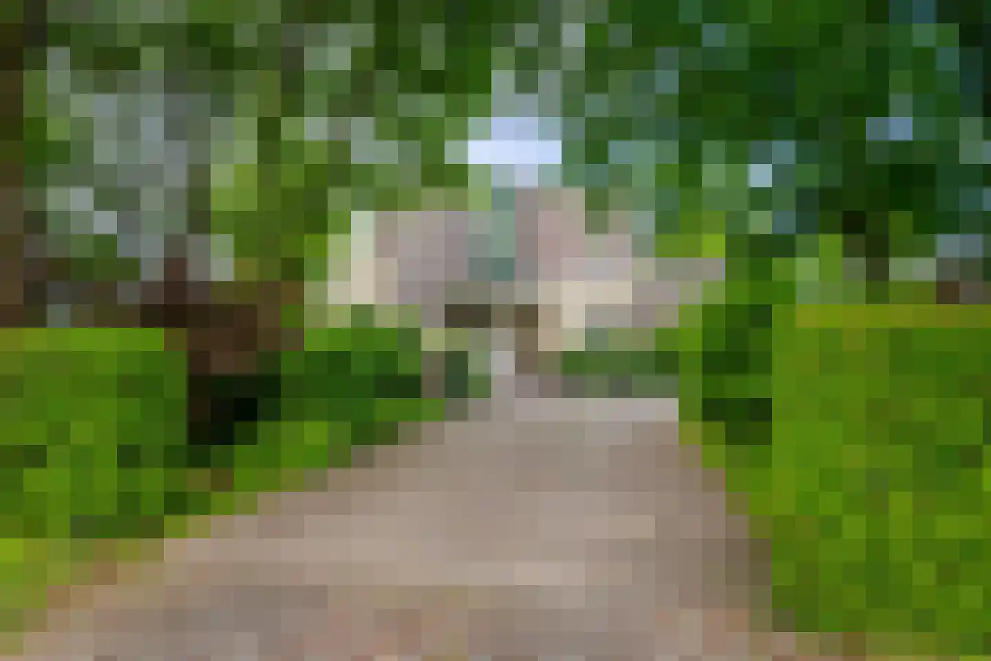 Roekenveldweg 4 Brunssum thumbnail 38