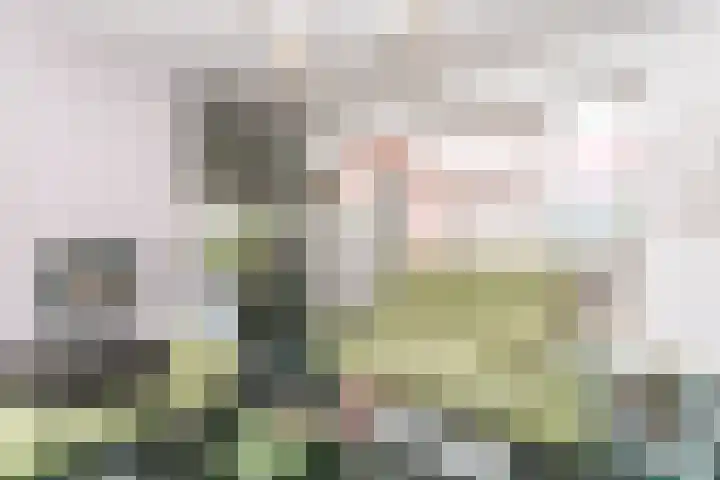 Roekenveldweg 6 Brunssum thumbnail 10