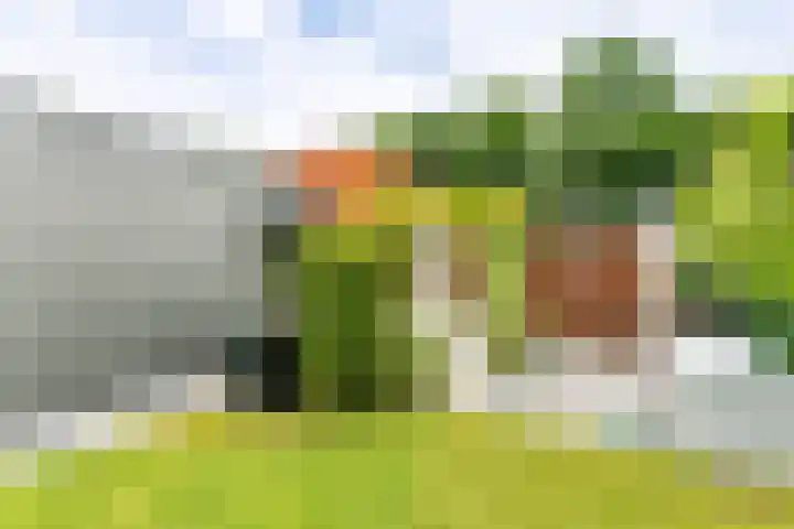 Roekenveldweg 6 Brunssum thumbnail 28