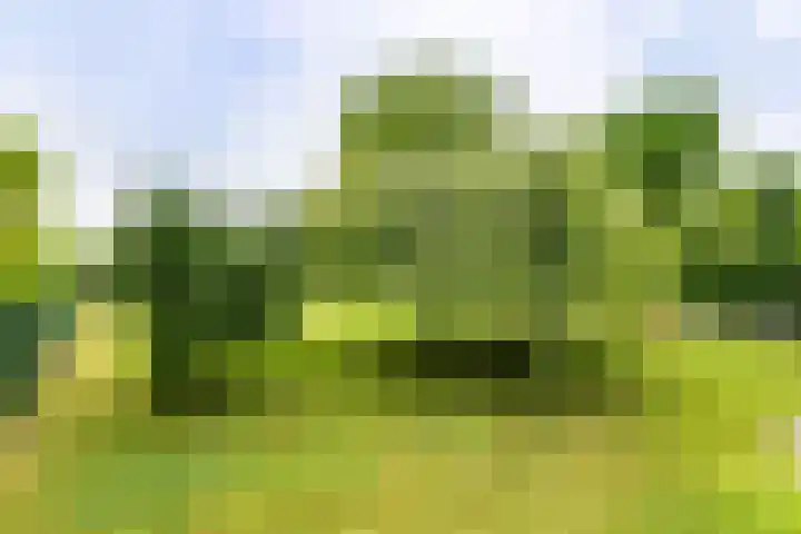Roekenveldweg 6 Brunssum thumbnail 29