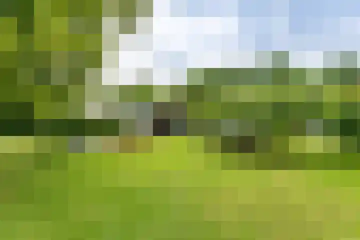 Roekenveldweg 6 Brunssum thumbnail 30