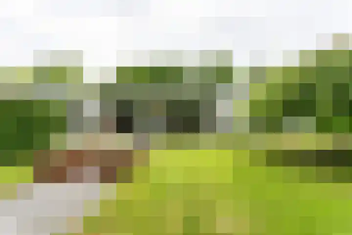 Roekenveldweg 6 Brunssum thumbnail 31