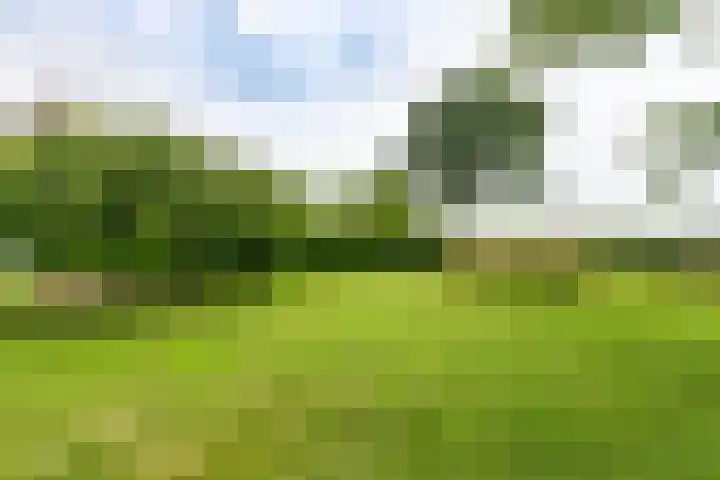 Roekenveldweg 6 Brunssum thumbnail 32