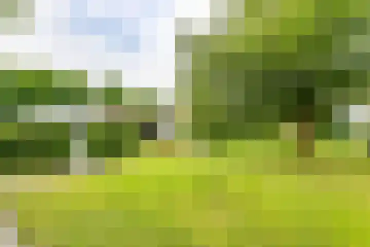 Roekenveldweg 6 Brunssum thumbnail 33