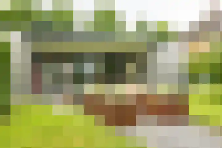 Roekenveldweg 6 Brunssum thumbnail 34