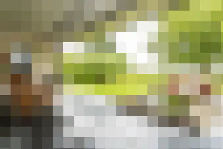 Roekenveldweg 6 Brunssum thumbnail 35