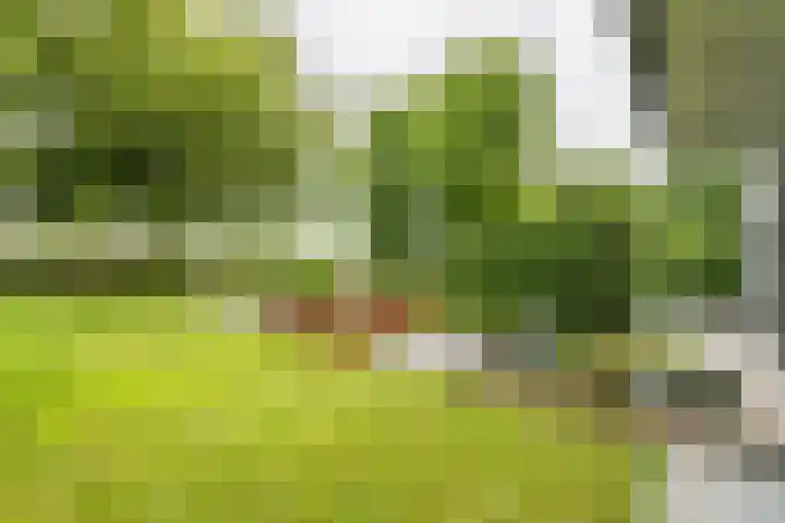 Roekenveldweg 6 Brunssum thumbnail 38