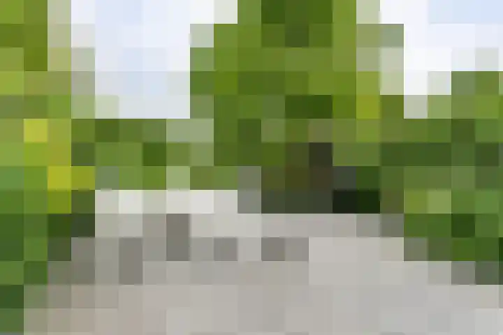 Roekenveldweg 6 Brunssum thumbnail 39