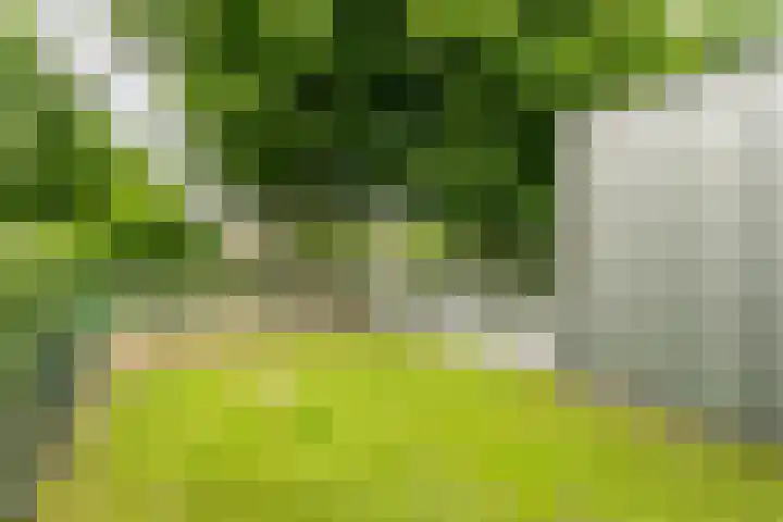 Roekenveldweg 6 Brunssum thumbnail 40