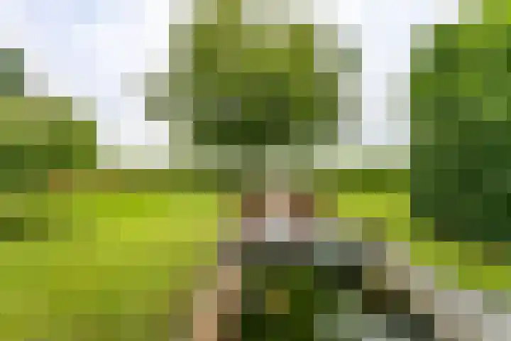 Roekenveldweg 6 Brunssum thumbnail 41