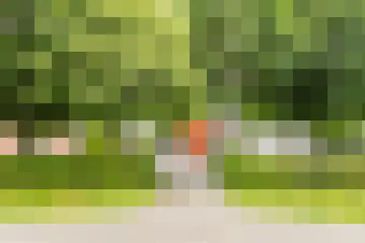 Roekenveldweg 6 Brunssum thumbnail 48