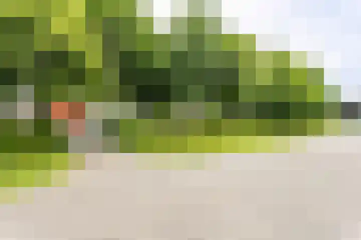 Roekenveldweg 6 Brunssum thumbnail 49
