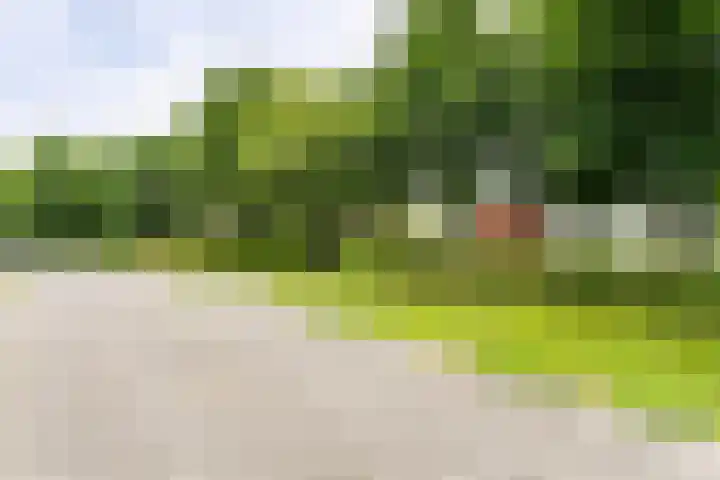 Roekenveldweg 6 Brunssum thumbnail 50