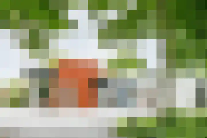 Roekenveldweg 6 Brunssum thumbnail 53