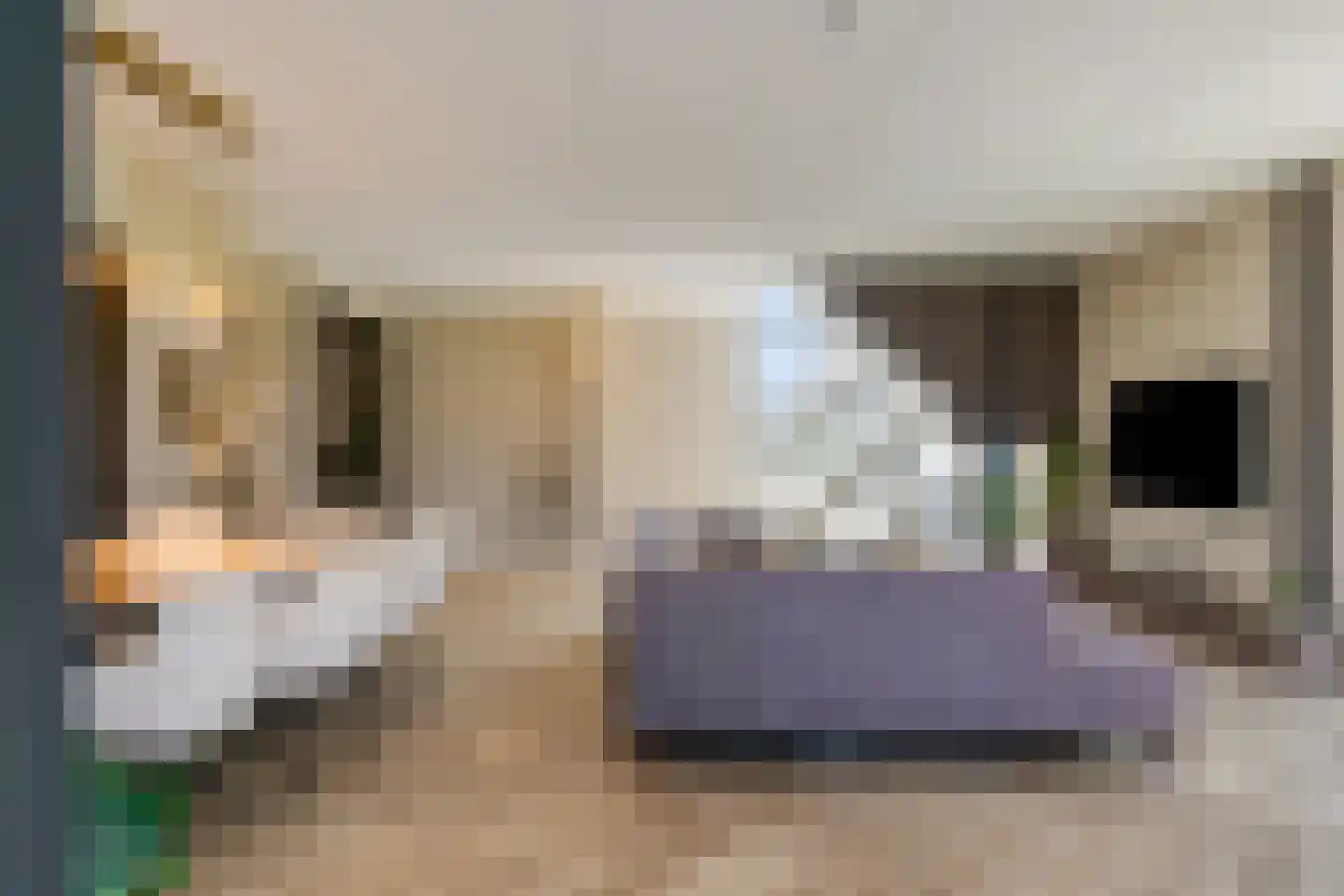 Roeklaan 11 Almere thumbnail 11