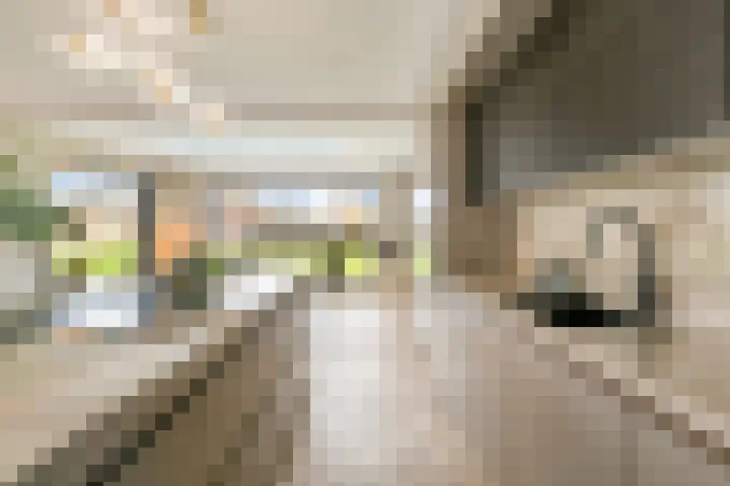 Roeklaan 11 Almere thumbnail 26