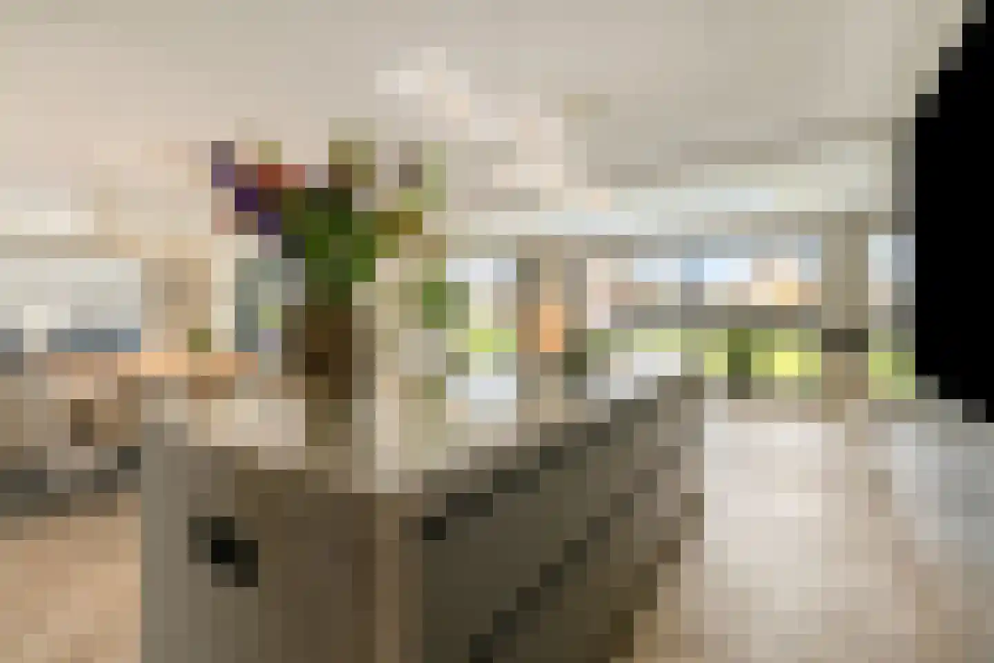 Roeklaan 11 Almere thumbnail 27